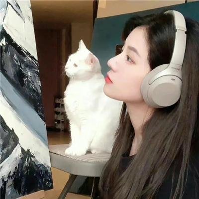 云山雾罩